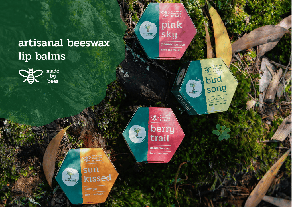 Last Forest products coming soon!