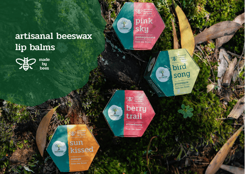 Last Forest products coming soon!